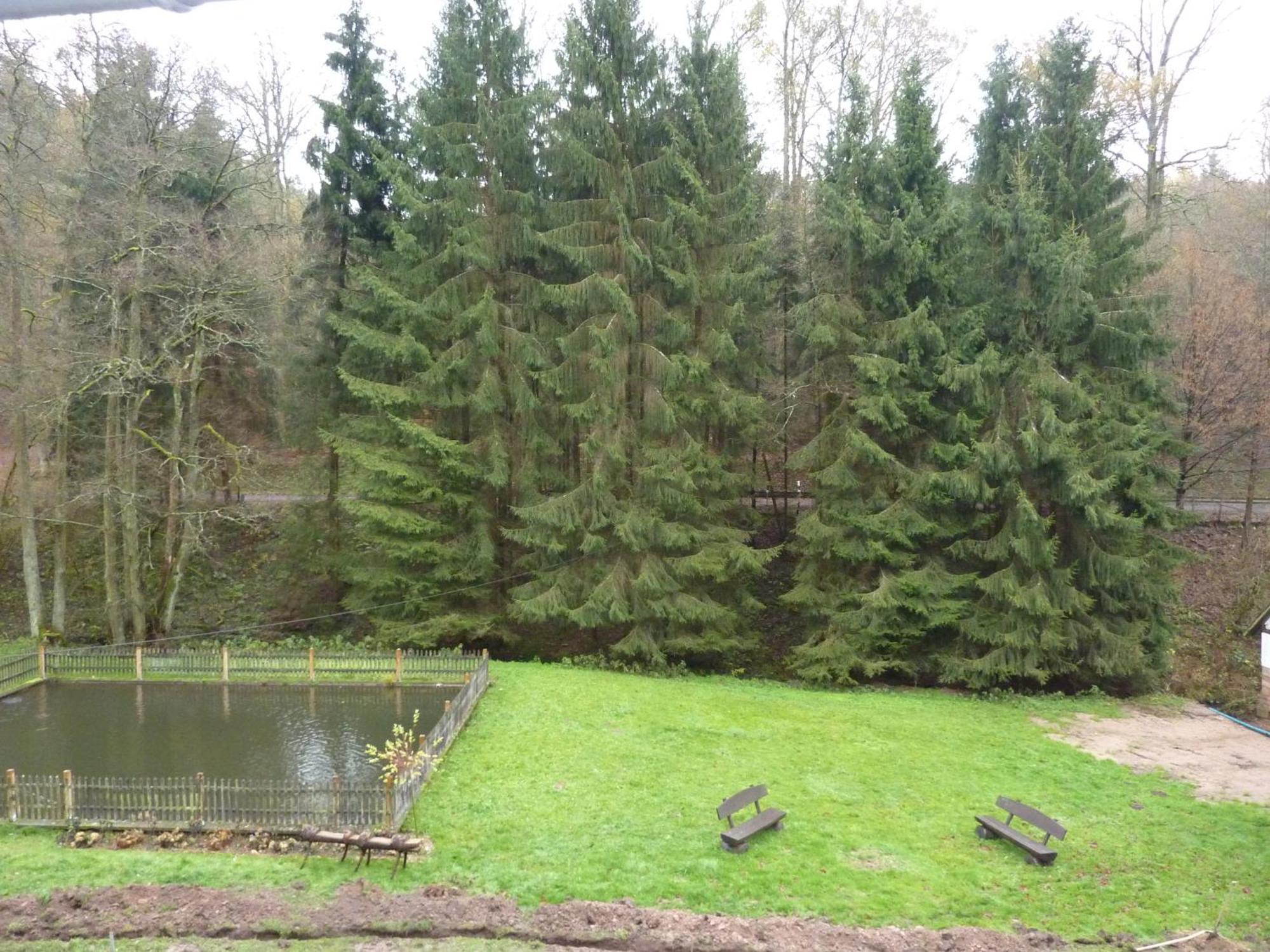 Hof Guttels Waldgasthof Ferienpension Rotenburg an der Fulda Rum bild